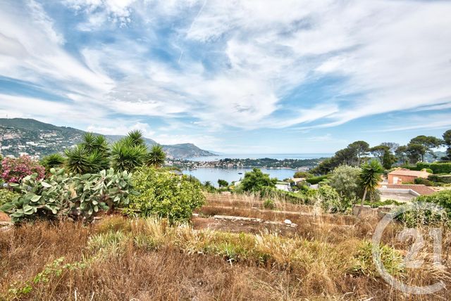 terrain à vendre - 3008.0 m2 - NICE - 06 - PROVENCE-ALPES-COTE-D-AZUR - Century 21 Lafage Transactions