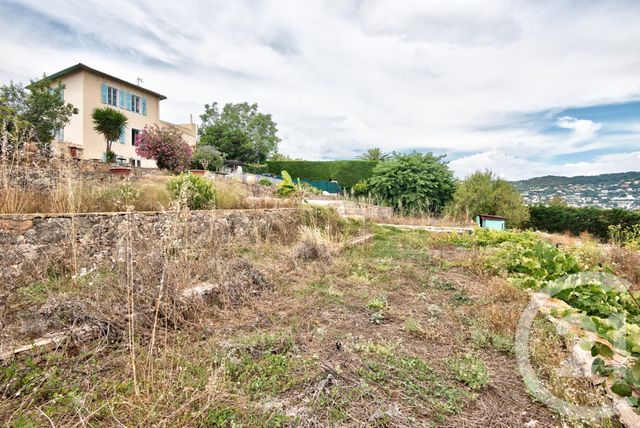 terrain à vendre - 3008.0 m2 - NICE - 06 - PROVENCE-ALPES-COTE-D-AZUR - Century 21 Lafage Transactions