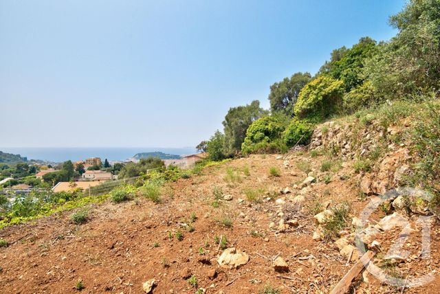 terrain à vendre - 1640.0 m2 - NICE - 06 - PROVENCE-ALPES-COTE-D-AZUR - Century 21 Lafage Transactions