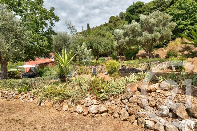 terrain à vendre - 11600.0 m2 - ASPREMONT - 06 - PROVENCE-ALPES-COTE-D-AZUR - Century 21 Lafage Transactions