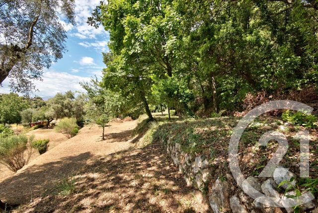 terrain à vendre - 11600.0 m2 - ASPREMONT - 06 - PROVENCE-ALPES-COTE-D-AZUR - Century 21 Lafage Transactions