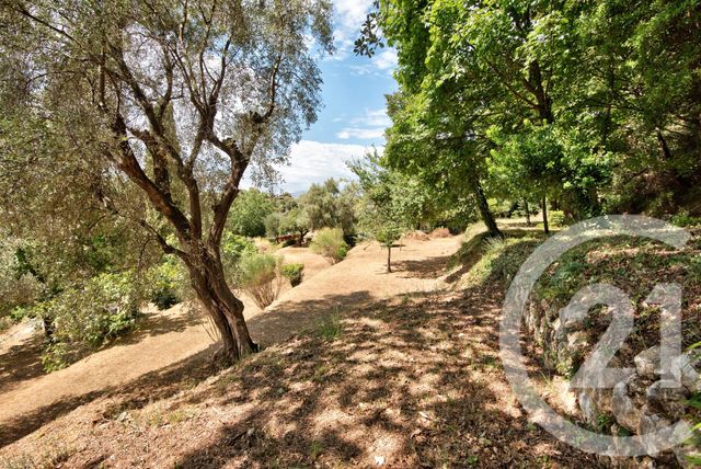 terrain à vendre - 11600.0 m2 - ASPREMONT - 06 - PROVENCE-ALPES-COTE-D-AZUR - Century 21 Lafage Transactions