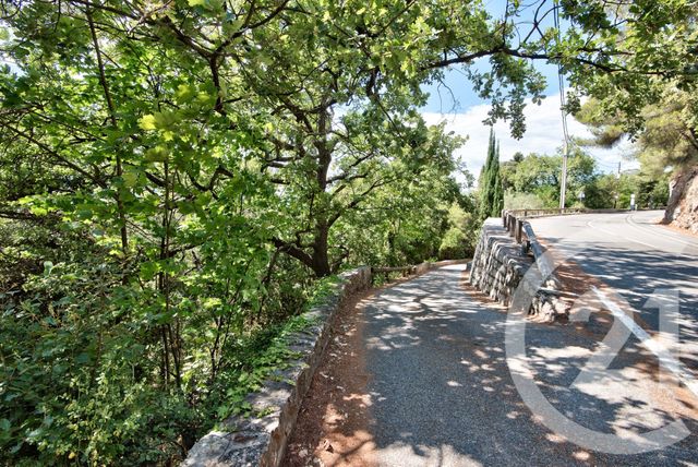 terrain à vendre - 11600.0 m2 - ASPREMONT - 06 - PROVENCE-ALPES-COTE-D-AZUR - Century 21 Lafage Transactions