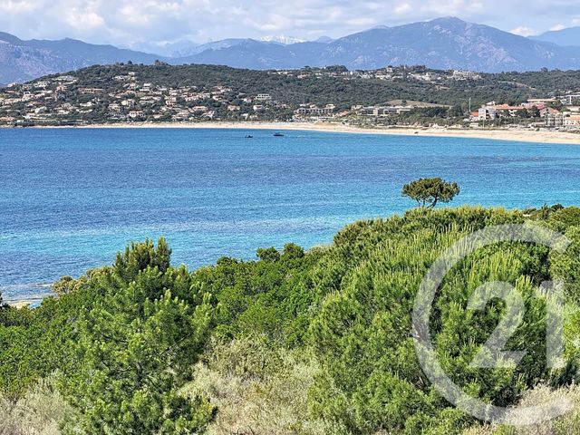 Appartement F4 à vendre - 4 pièces - 175.0 m2 - PIETROSELLA - 201 - CORSE - Century 21 Lafage Transactions