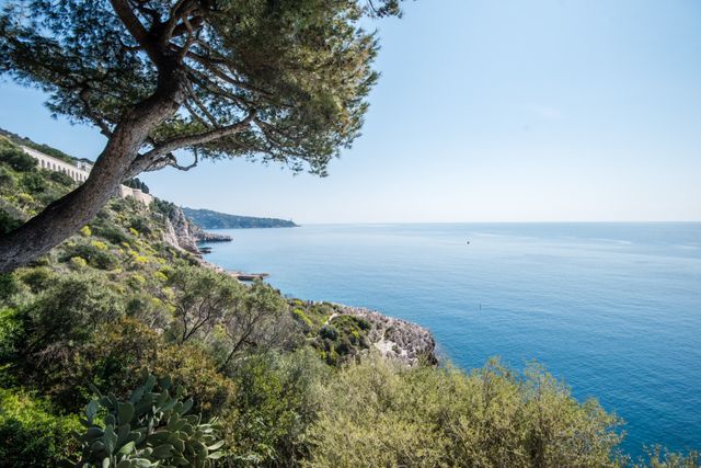 maison à vendre - 6 pièces - 229.23 m2 - NICE - 06 - PROVENCE-ALPES-COTE-D-AZUR - Century 21 Lafage Transactions